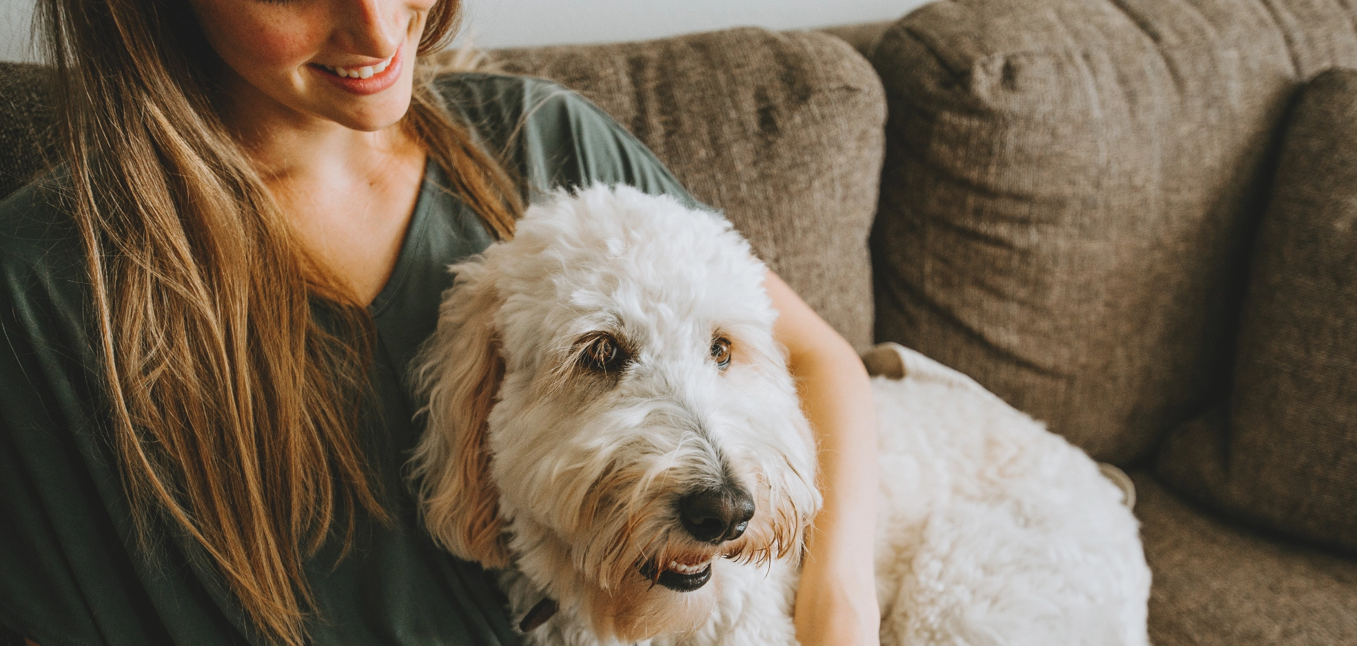 Image Gallery tec-nut.com for A1 Pet Sitter - Website Builder, Free Website, Easy Website, Free website template, Company Website, Overnight pet care, Simple Website, New Website, easy website, New Company, Pet sitter, Dog walking